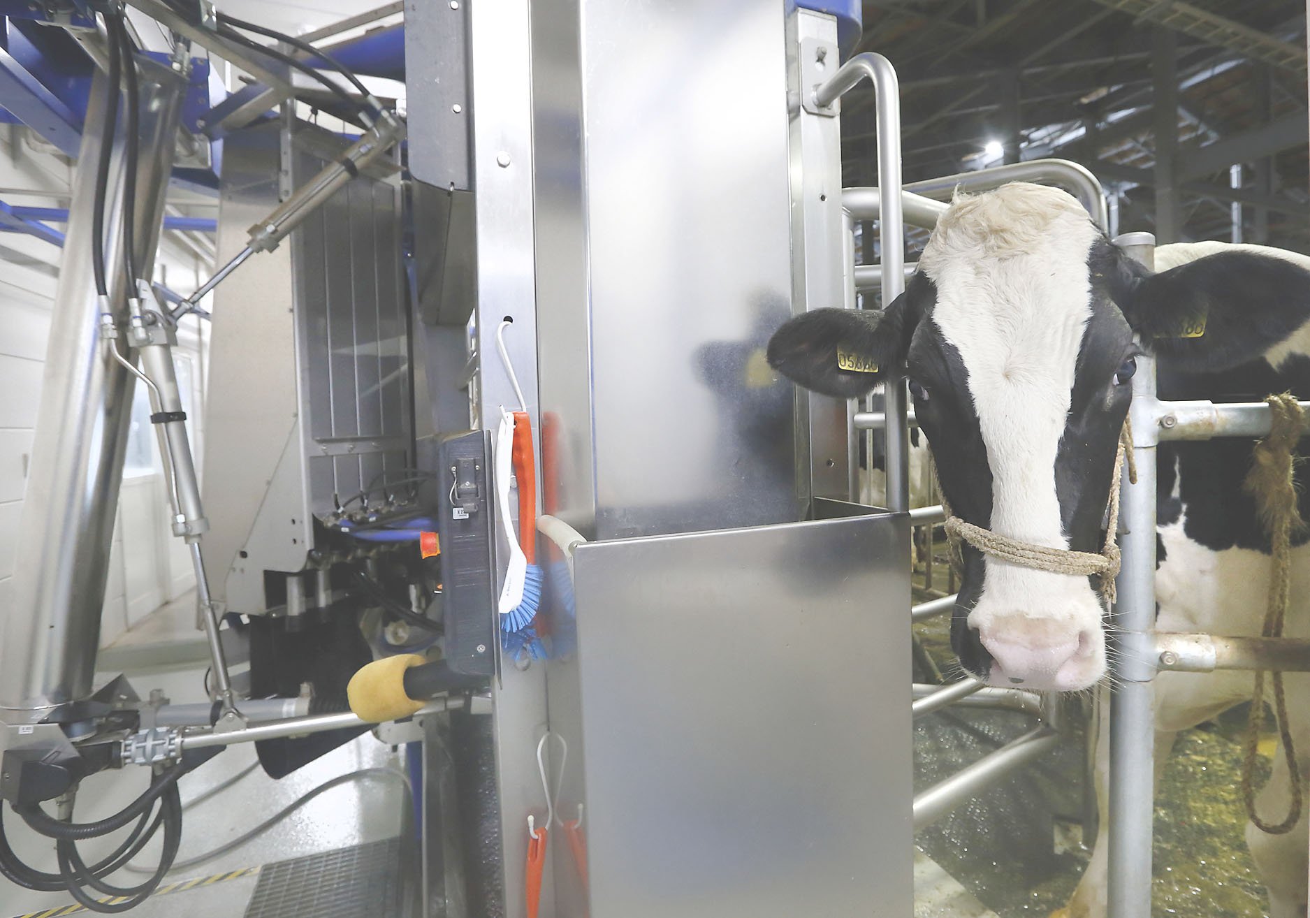 🐄 에노모토 목장(에노모토 보쿠조) 이미지 5